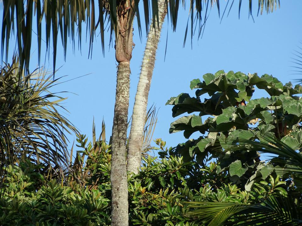 Quelles sont les villes intéressantes à visiter en Guyane Française ?