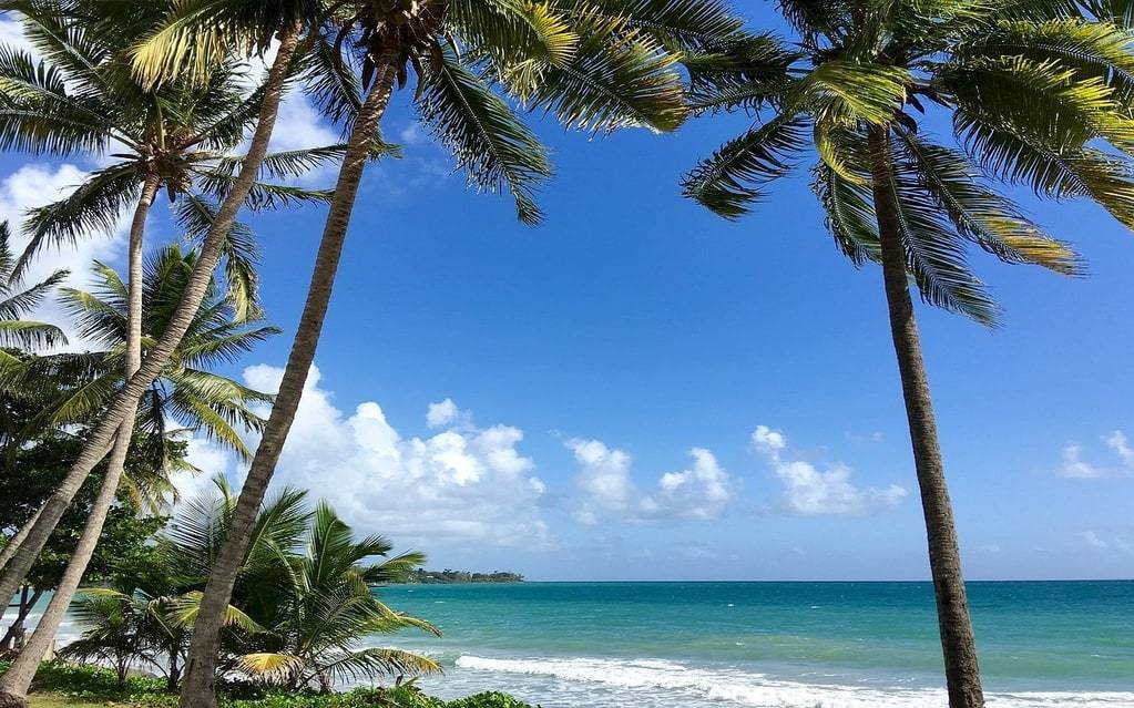 Que faire, que voir, que visiter en Guyane Française ?